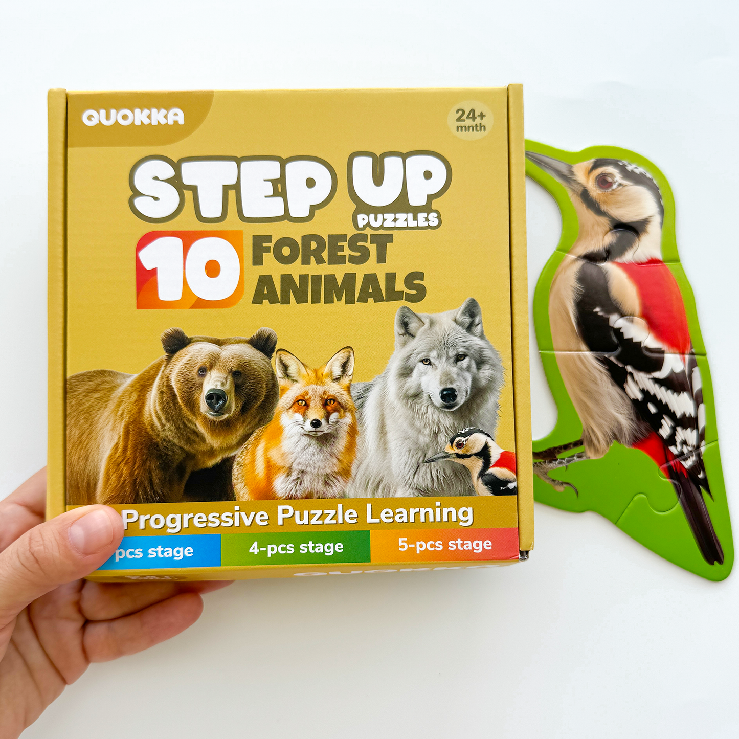 Step Up Puzzles | Forest