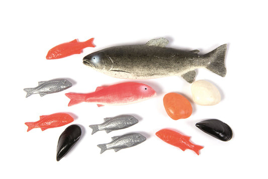 LAP Bag of 12 assorted Fish Realistic Play Food Set, +2 Yrs