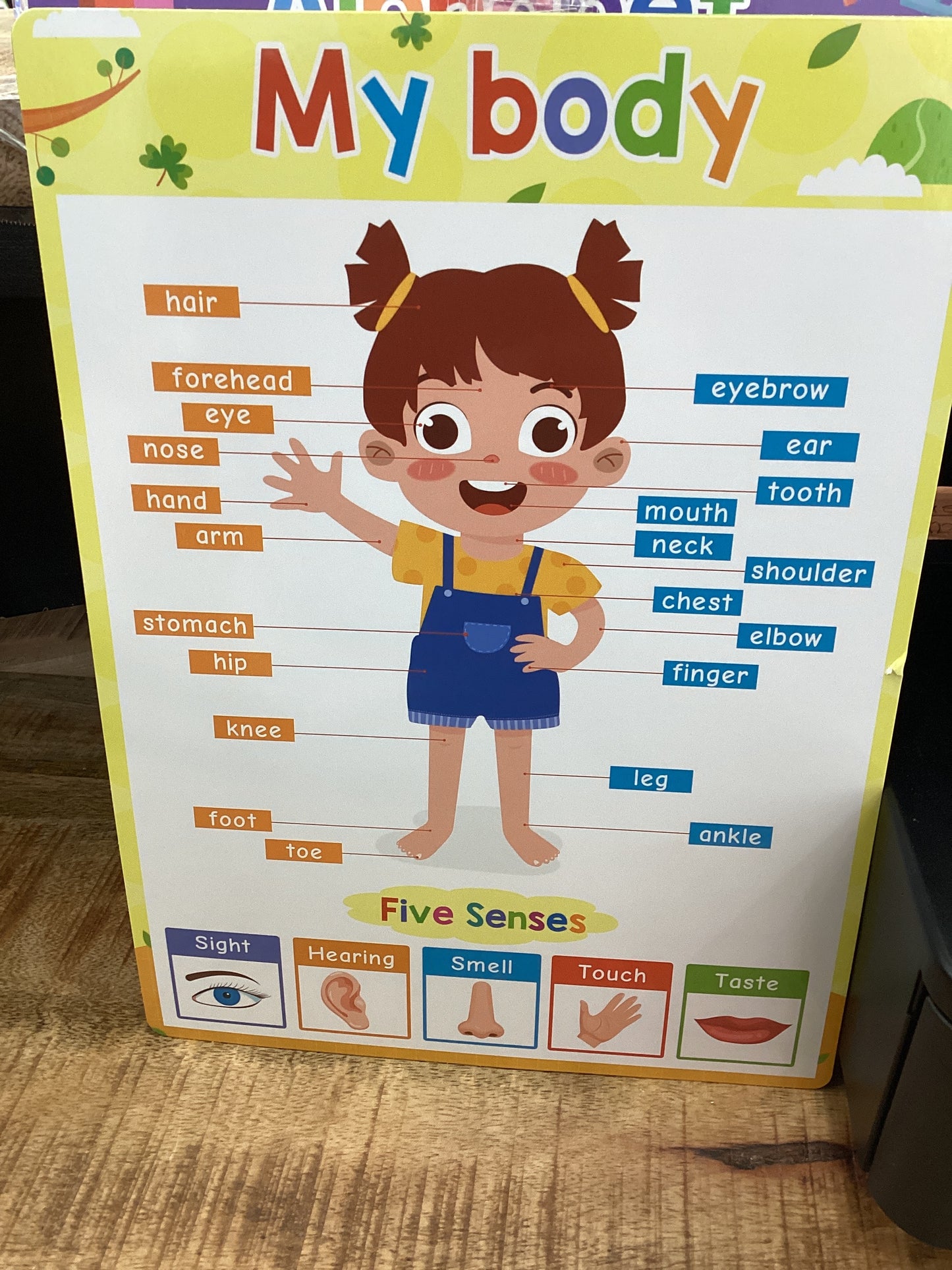 My Body Small Poster