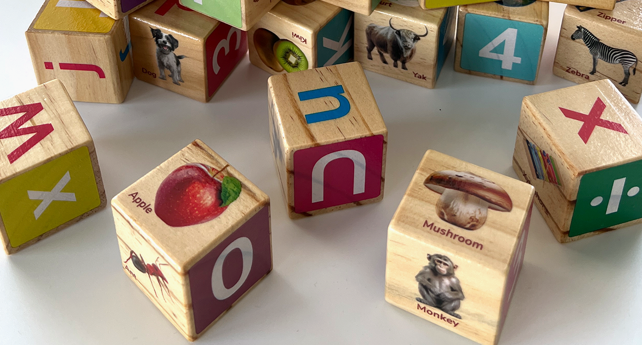 Montessori Wooden Blocks | 35 Realistic ABC Blocks