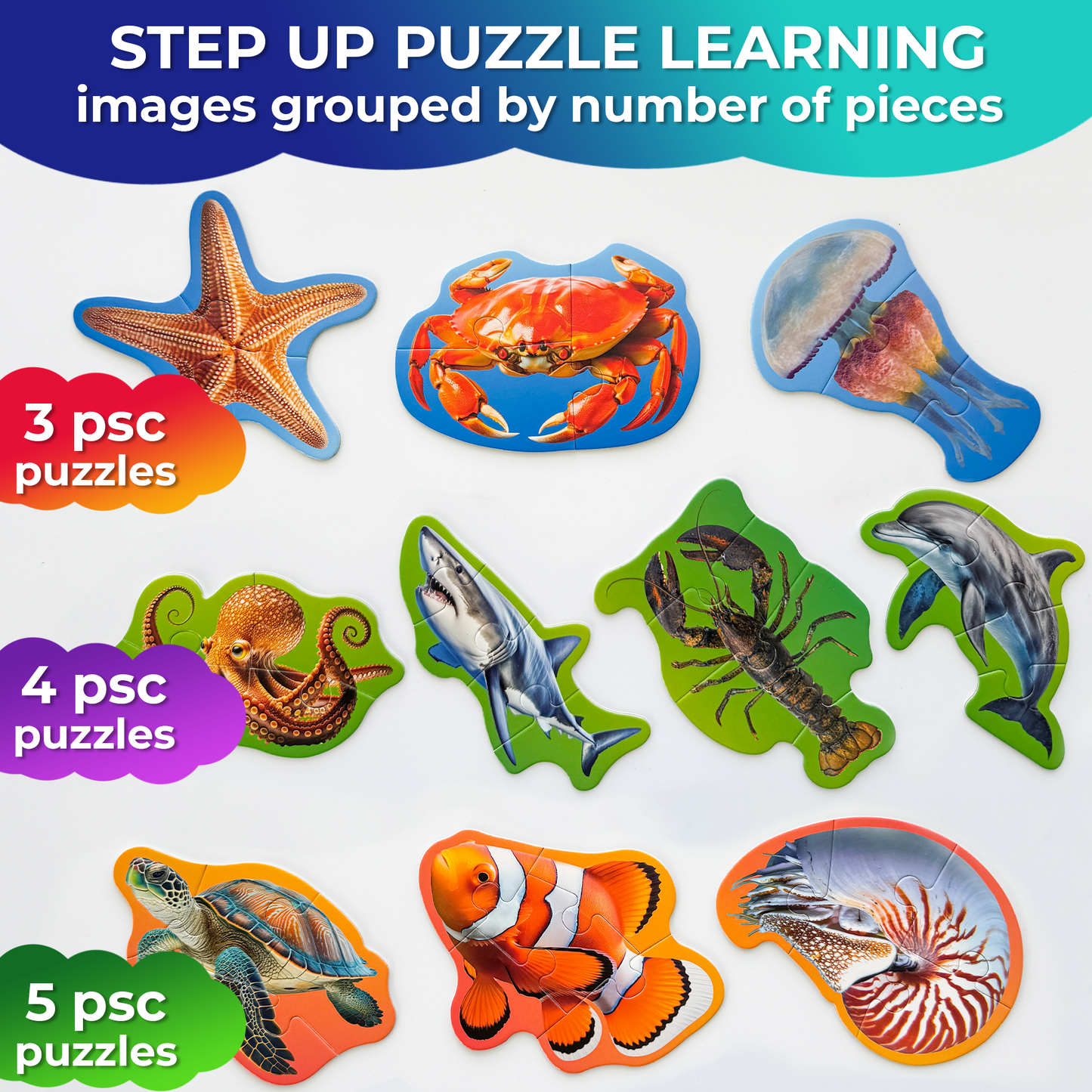 Step Up Puzzles | Ocean