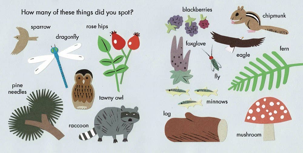 Little Observers: Go Camping