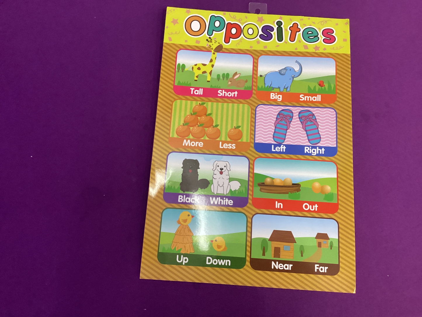 Opposites Small Poster