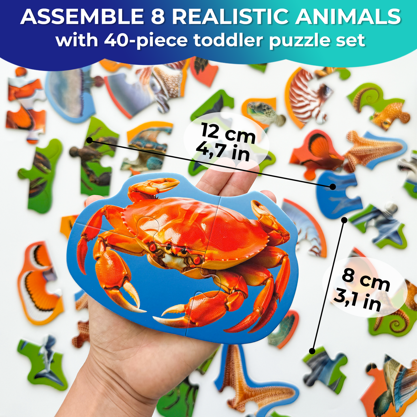 Step Up Puzzles | Ocean