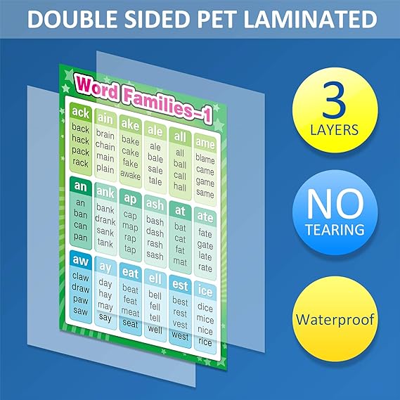 Educational Posters Sight Words and Word Families Poster