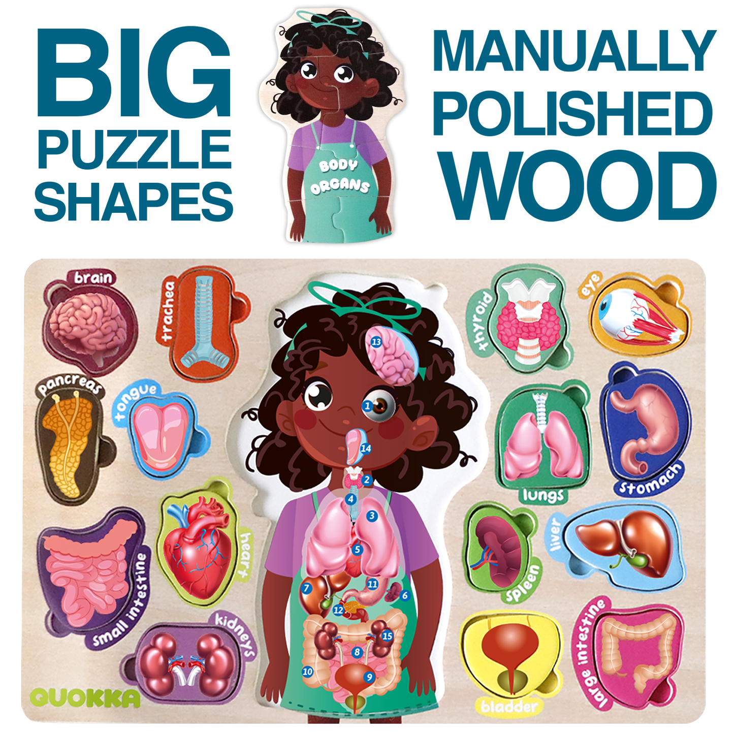 Learn Human Body | Montessori puzzles