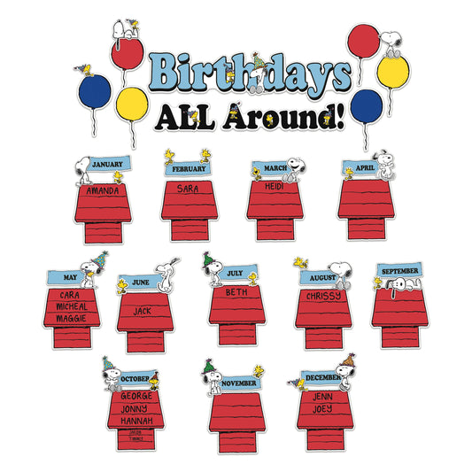Peanuts® Birthday Mini Bulletin Board Set
