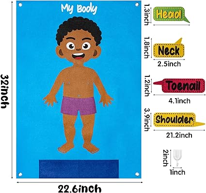 Brown Skin Color Body Parts Learning Felt Story Board Set