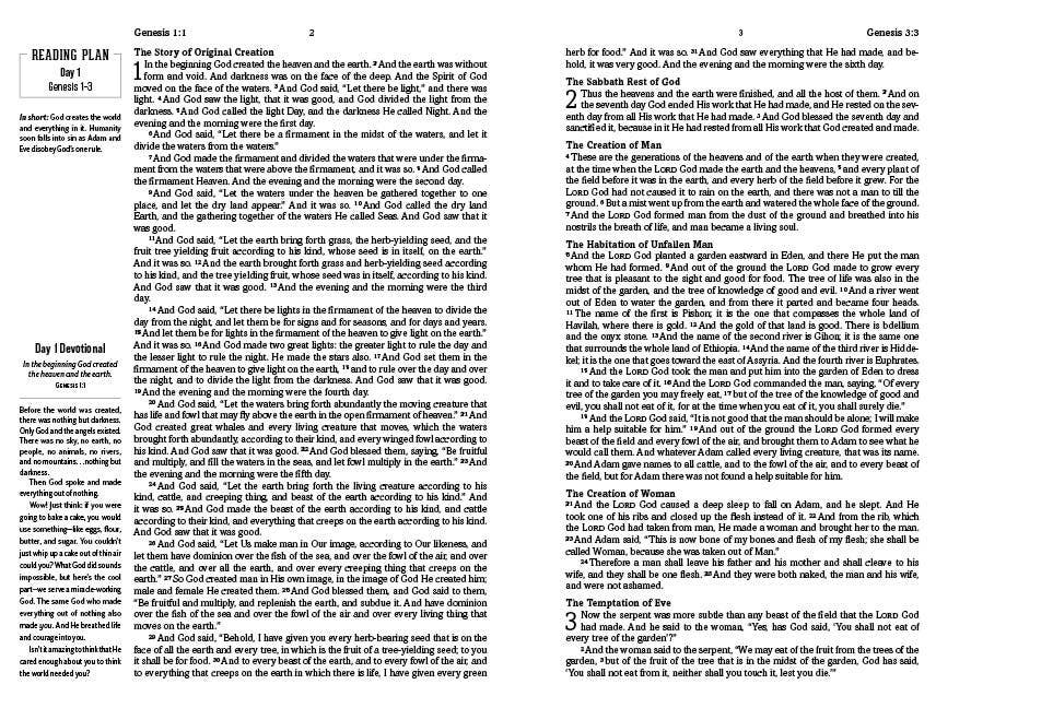 The Daily Wisdom for Girls SKJV Devotional Bible