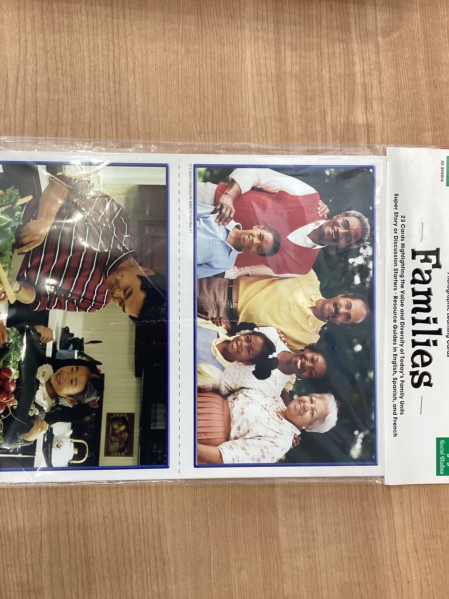 Families Photographic Learning Cards