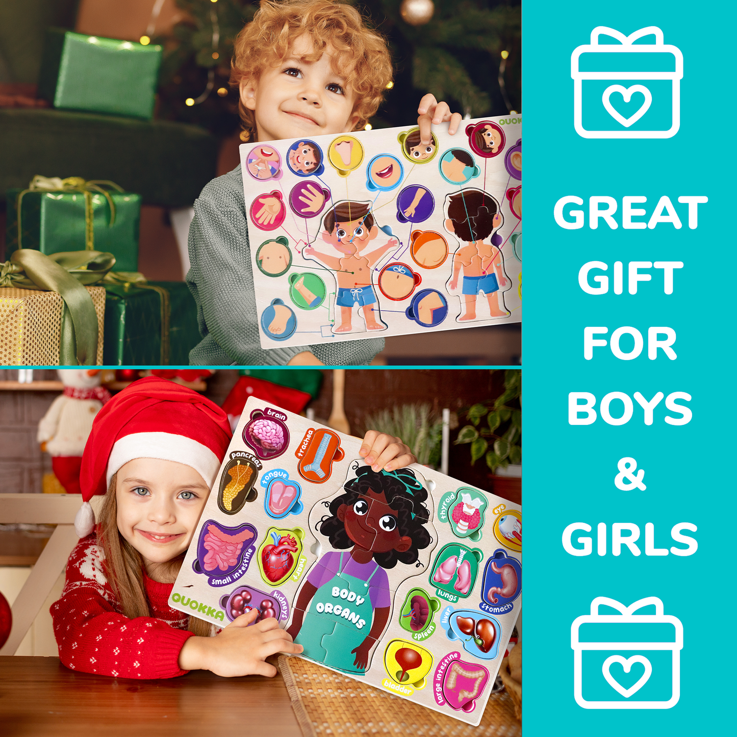 Learn Human Body | Montessori puzzles