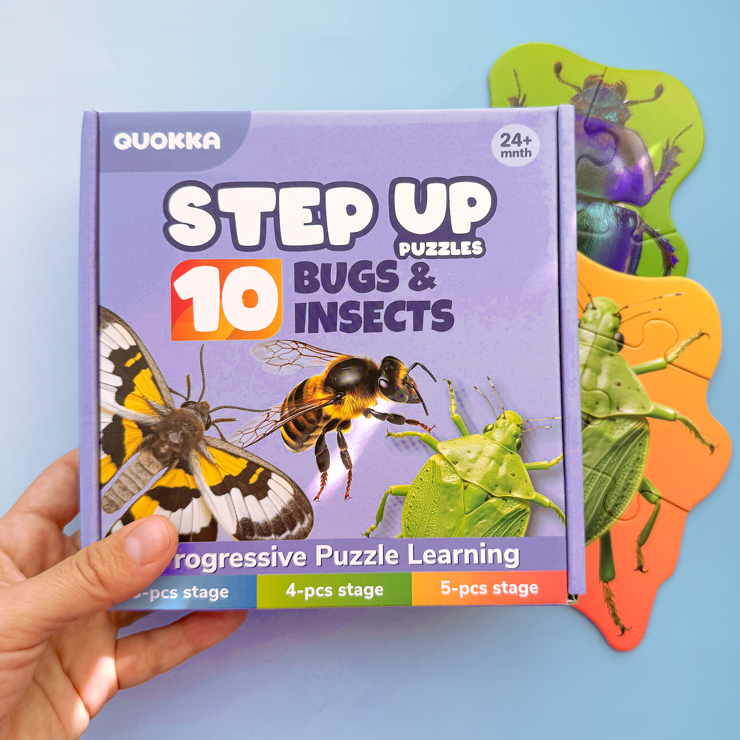 Step Up Puzzles | Bugs