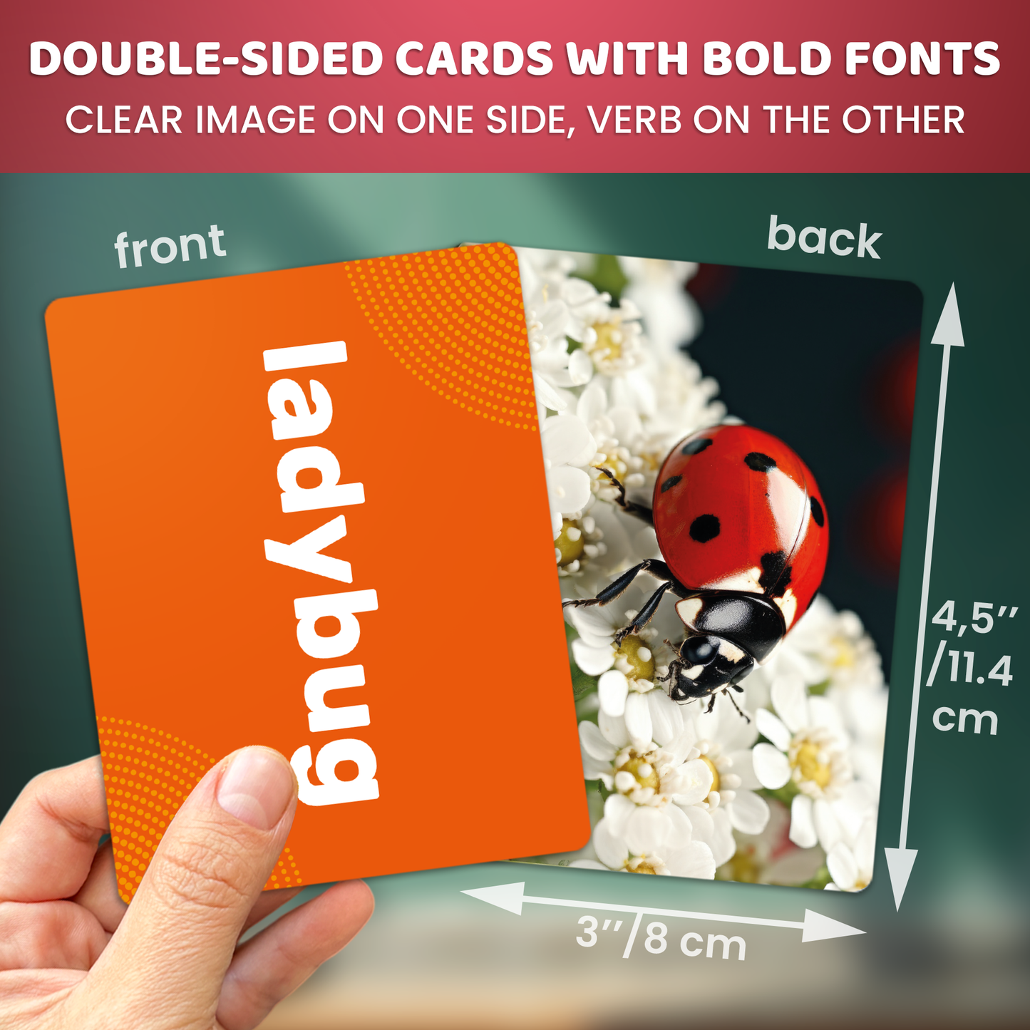 Flash Cards Age 5+ for Speech Therapy | Animals