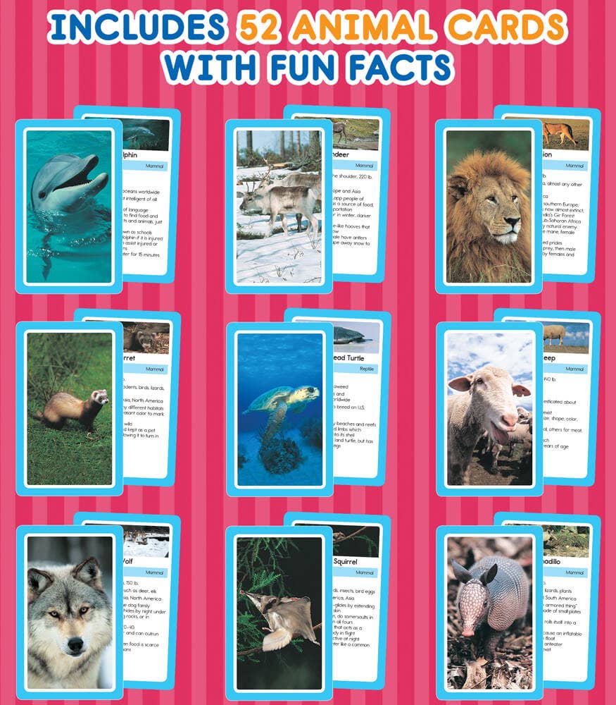 Animals Flash Cards