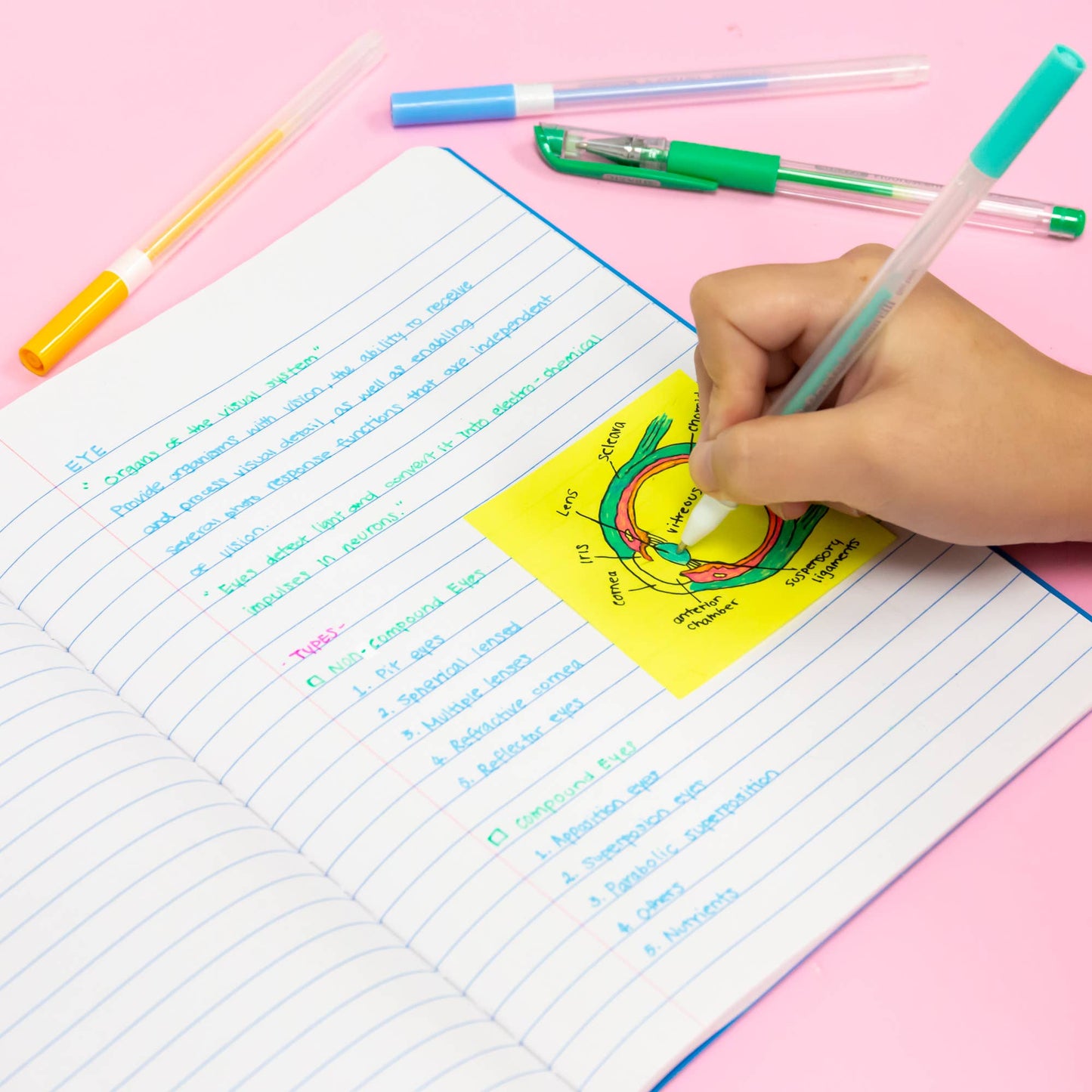 Composition Book W/R Assorted Color Marble 100 Ct.: 48