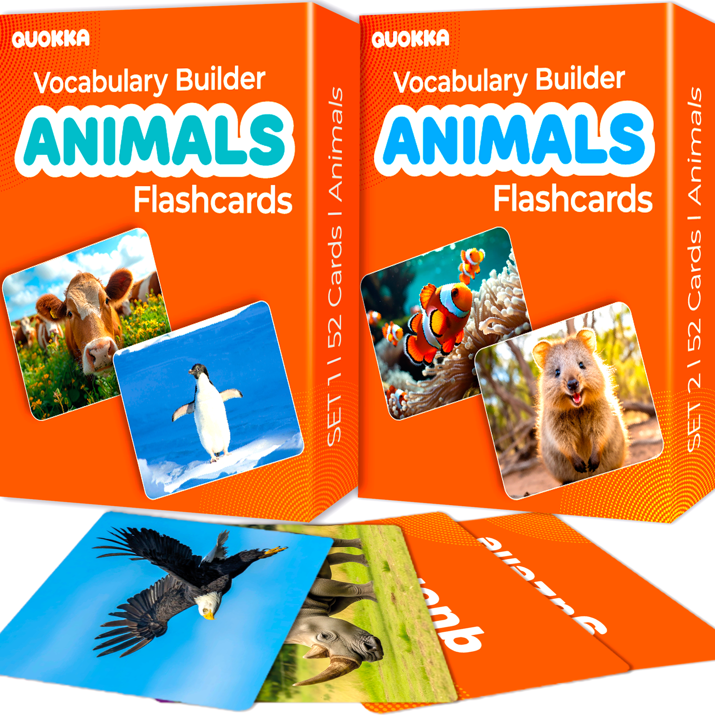 Flash Cards Age 5+ for Speech Therapy | Animals
