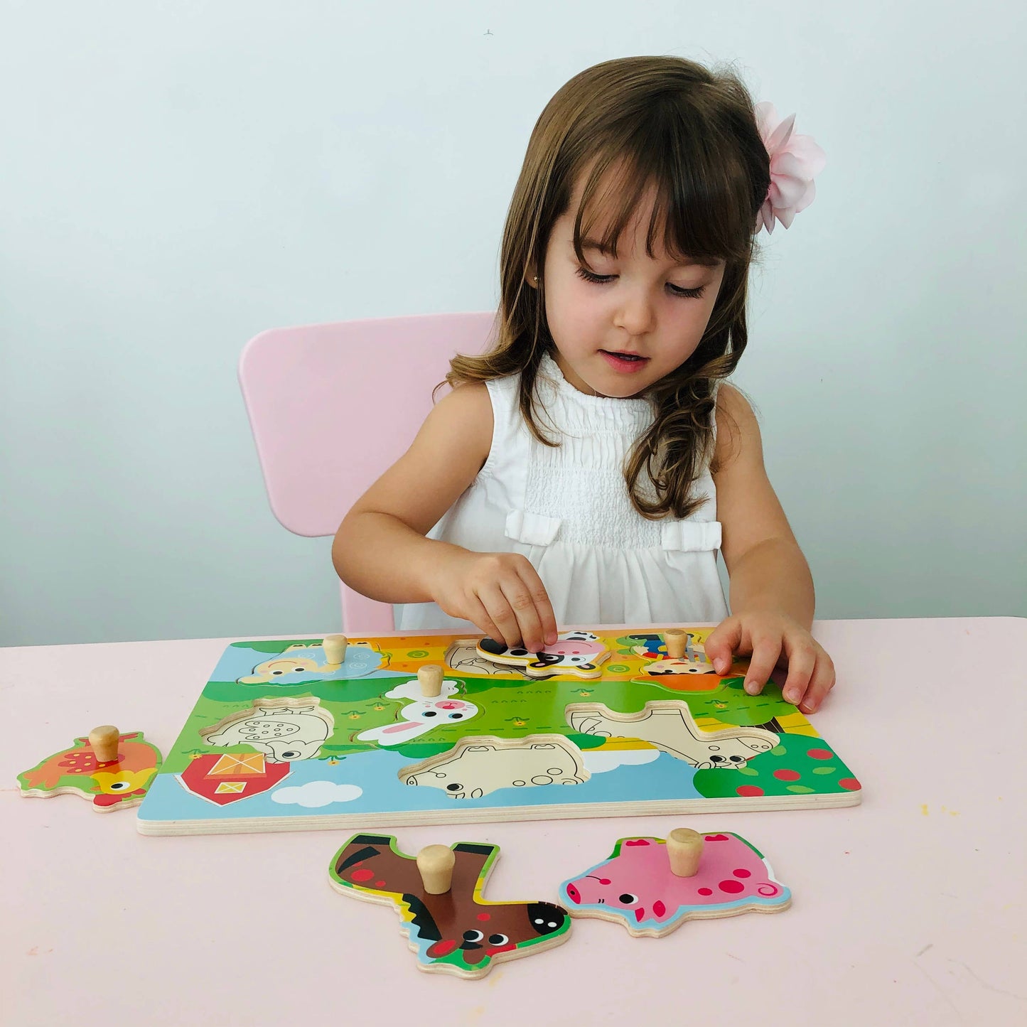 Animal farm wooden peg puzzle board