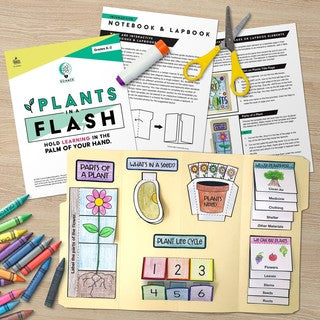In a Flash: Plants Flash Drive Grade K-2 Flash Drive