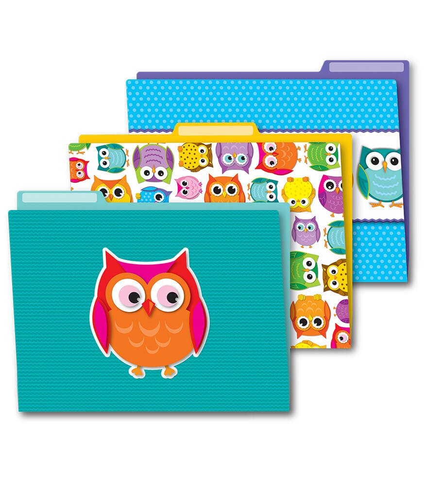 Colorful Owls File Folders