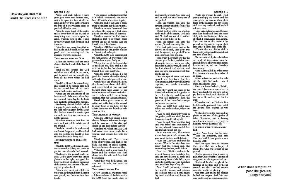 KJV Journaling Bible with Prompts [Copper Leaf]