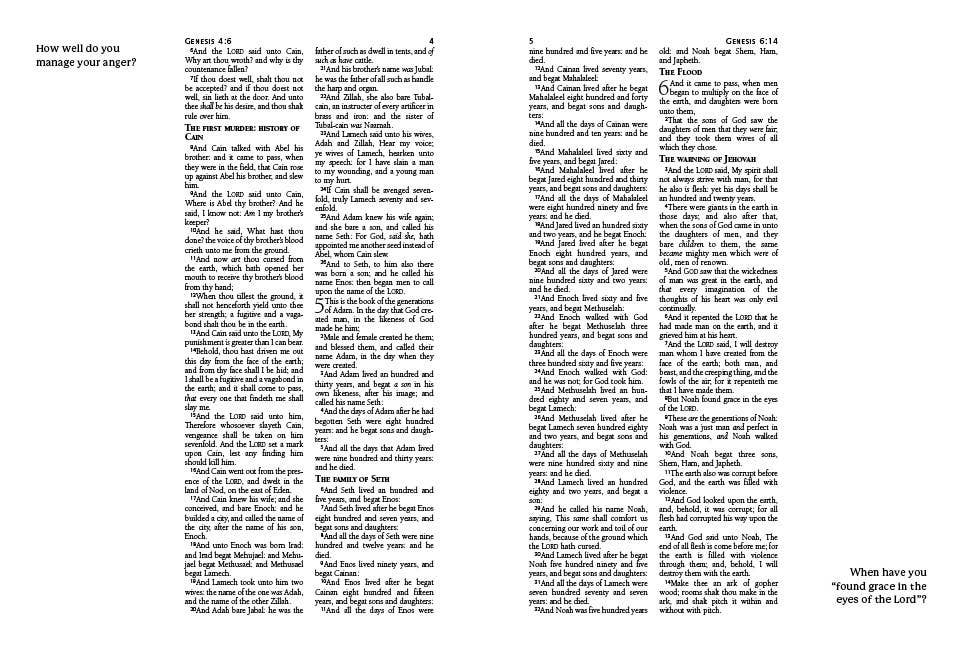 KJV Journaling Bible with Prompts [Copper Leaf]