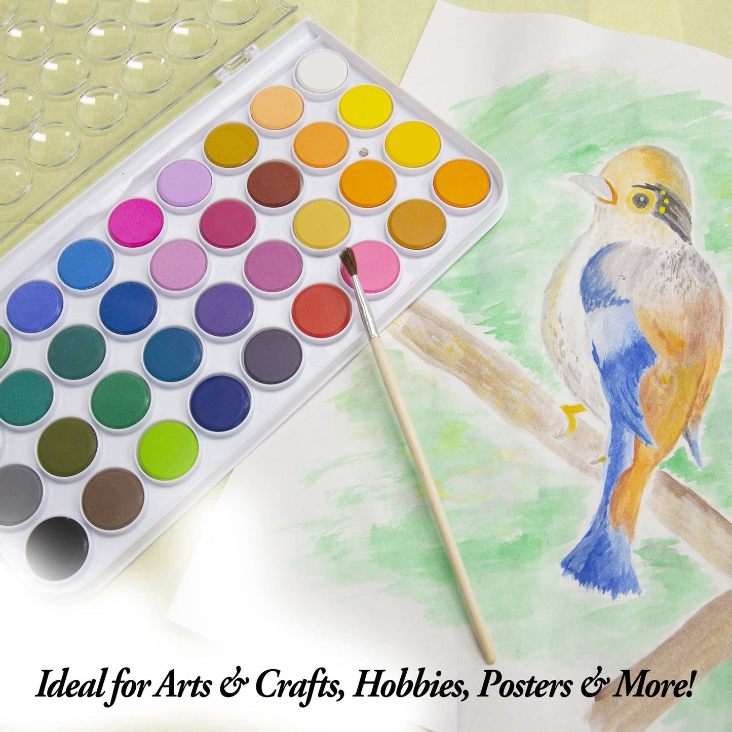 36 Ct. Watercolor w/ Brush