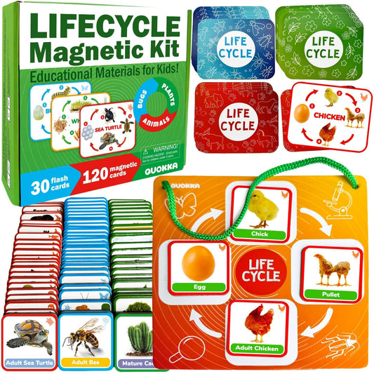 Lifecycle Magnetic Kit - Educational Montessori Toy for Kids