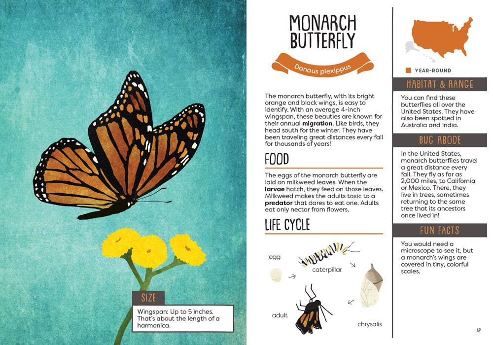 Kid’s Guide to Backyard Bugs