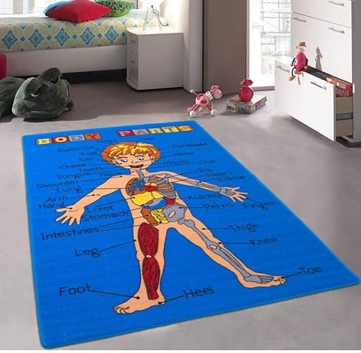 Body Parts. Science Rug Learning Carpet (5 Feet X 7 Feet)