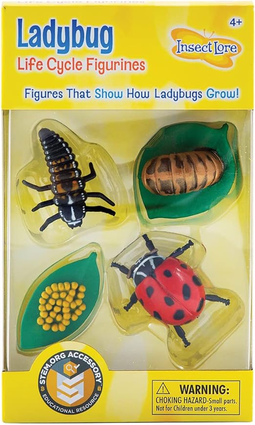 Insect Lore Ladybug Life Cycel Figrines