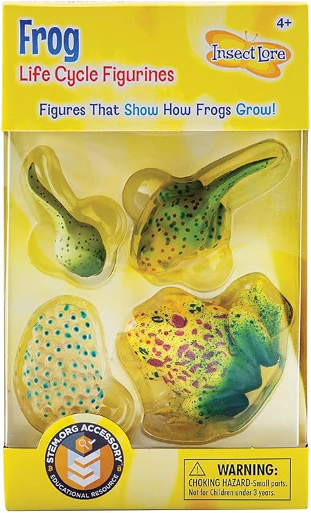 Insect Lore Frog