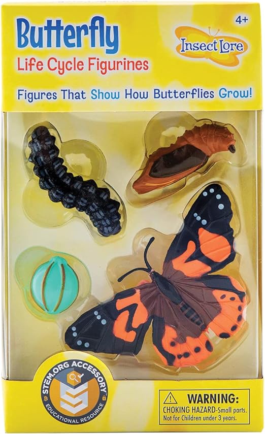 Insect Lore Butterfly Life Cycle Figurines