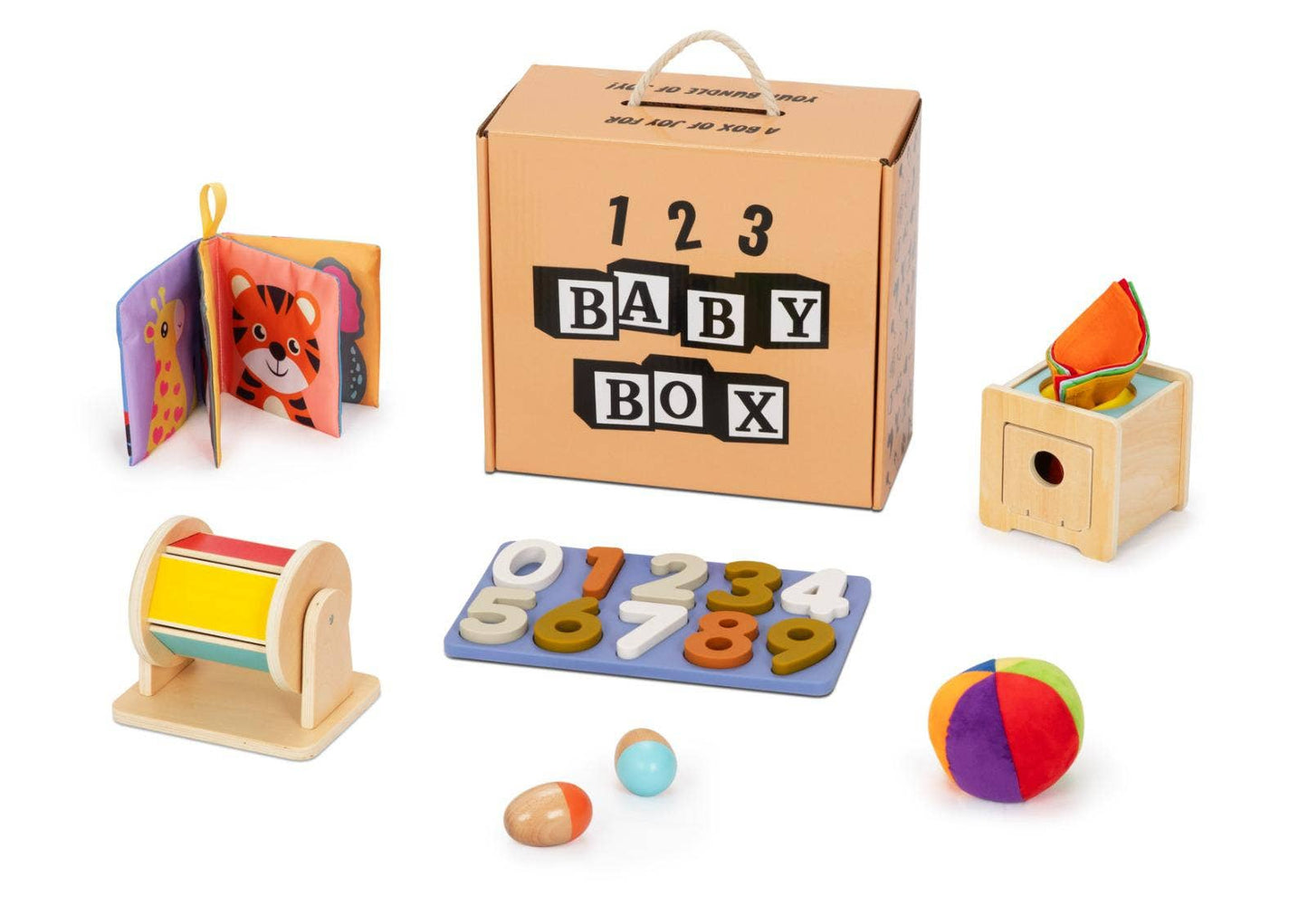 Montessori Educational Box (6-9 Months)