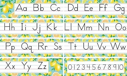 Lemon Zest Traditional Printing Mini Bulletin Board Set, 21" x 6"
