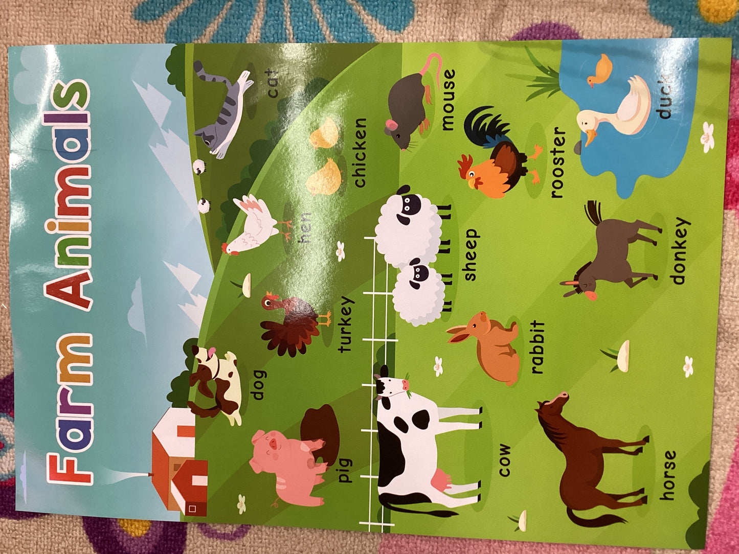 Farm Animal Poster