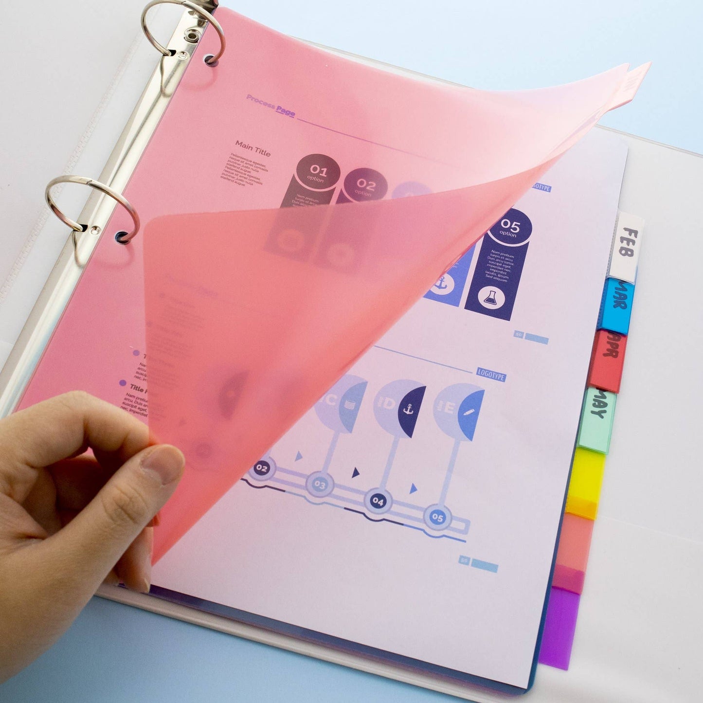 3 Ring Binder Dividers With Insertable Color Tabs: 5-insertable color tabs