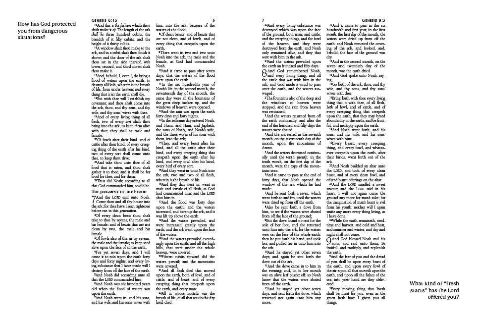 KJV Journaling Bible with Prompts [Copper Leaf]