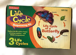 Life Cycle of a Butterfly
