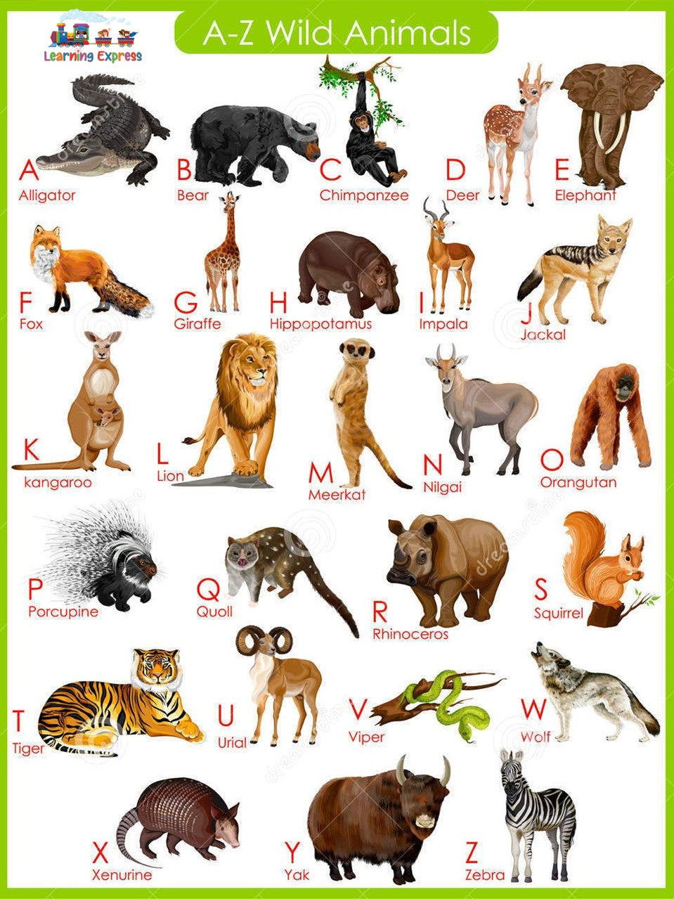 A - Z Wild Animals Poster, 17” x 22” and 11” x 17”, Laminated/ Regular Material