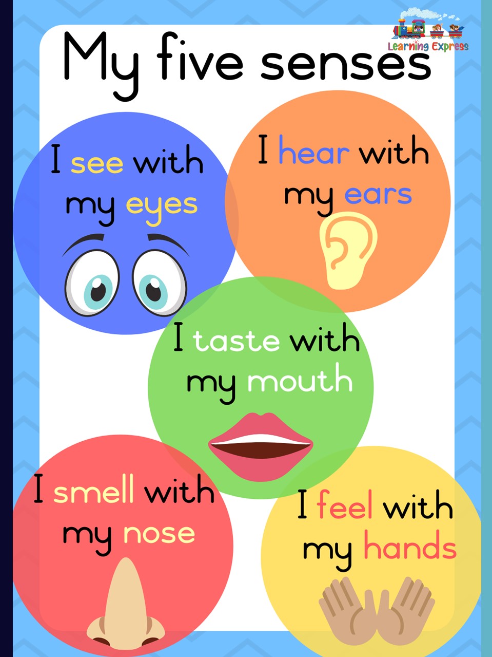 My Five Senses Poster,17” x 22” and 11” x 17”, Laminated/ Regular Material